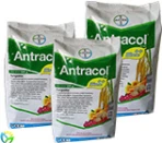 Antracol 70 WP