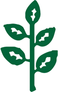 Other Information Logo Footer